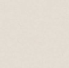 White Matte Finish Floor Tiles