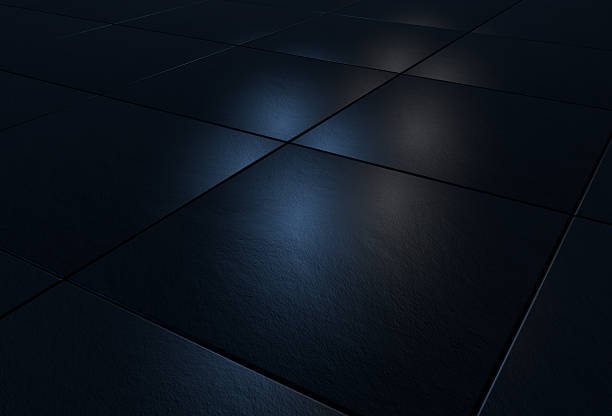 Gallery 7